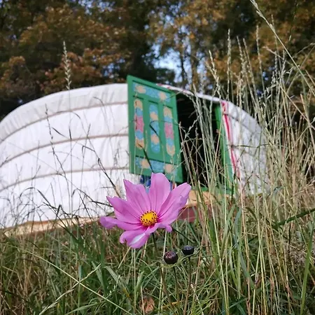 Luxury tent Pokojczech Yurt
