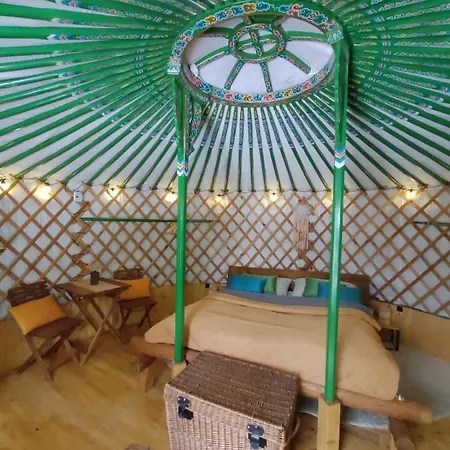 Pokojczech Yurt *